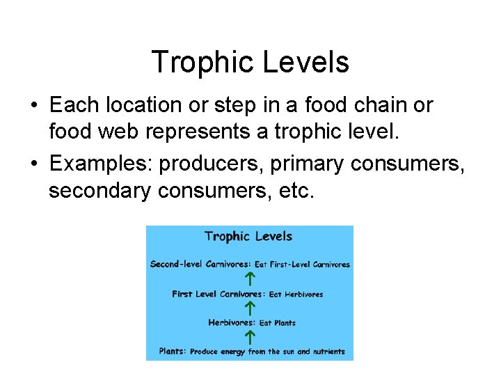 Trophic Levels • Each location or step in a food chain or food web Trophic Levels • Each location or step in a food chain or food web
