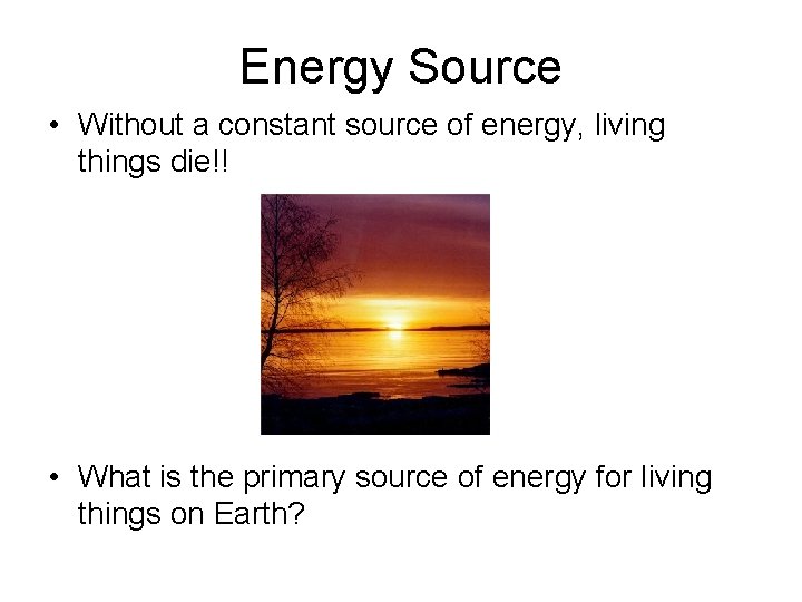 Energy Source • Without a constant source of energy, living things die!! • What Energy Source • Without a constant source of energy, living things die!! • What