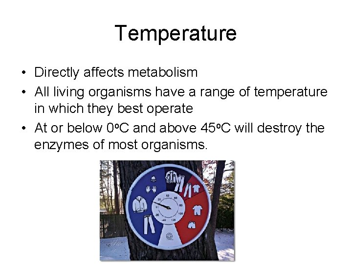 Temperature • Directly affects metabolism • All living organisms have a range of temperature