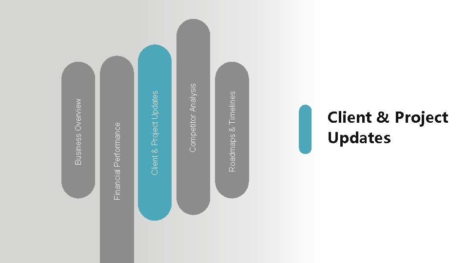 Roadmaps & Timelines Competitor Analysis Client & Project Updates Financial Performance Business Overview Client