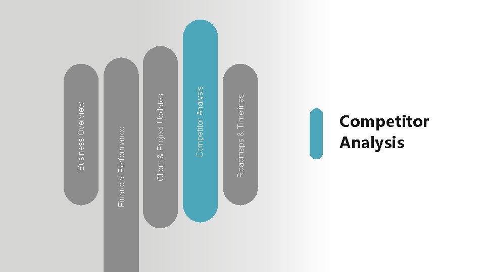 Roadmaps & Timelines Competitor Analysis Client & Project Updates Financial Performance Business Overview Competitor