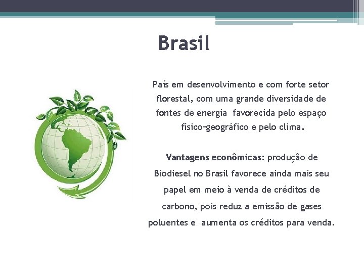 Brasil País em desenvolvimento e com forte setor florestal, com uma grande diversidade de