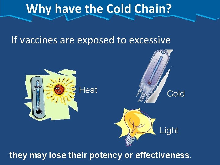 Why have the Cold Chain? If vaccines are exposed to excessive Heat Cold Light