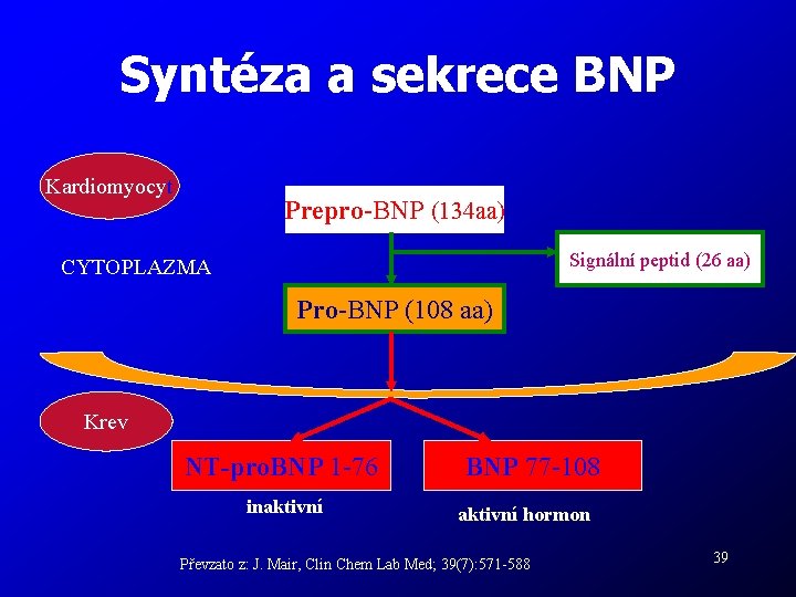 Syntéza a sekrece BNP Kardiomyocyt Prepro-BNP (134 aa) Signální peptid (26 aa) CYTOPLAZMA Pro-BNP