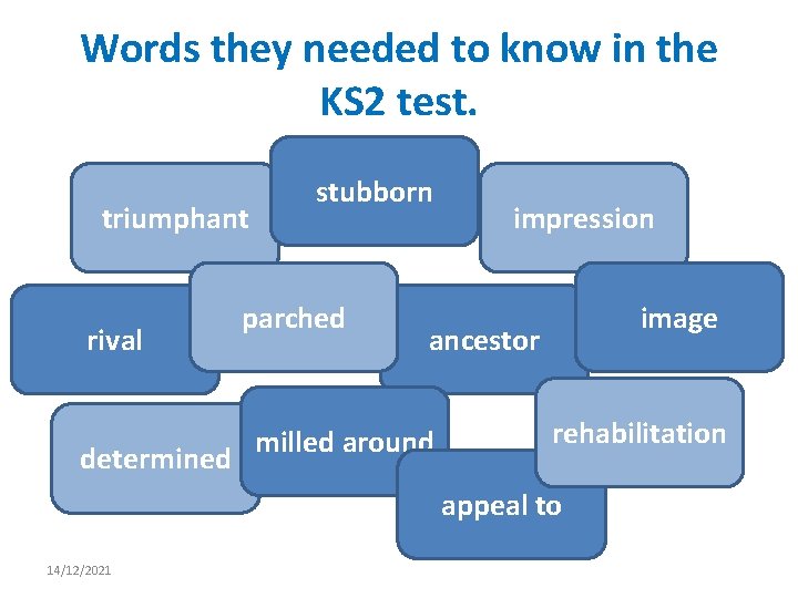 Words they needed to know in the KS 2 test. triumphant rival determined stubborn