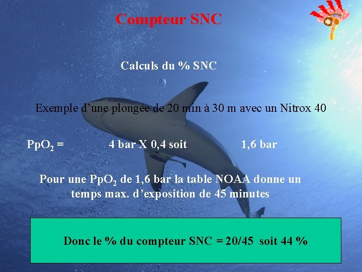 Compteur SNC Calculs du % SNC Exemple d’une plongée de 20 min à 30