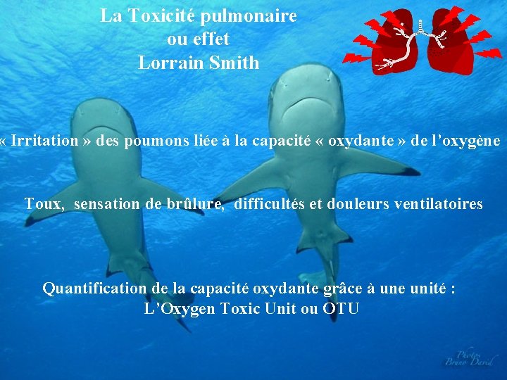 La Toxicité pulmonaire ou effet Lorrain Smith « Irritation » des poumons liée à