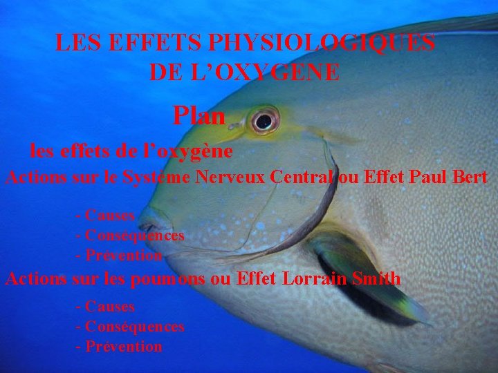 LES EFFETS PHYSIOLOGIQUES DE L’OXYGENE Plan les effets de l’oxygène Actions sur le Système