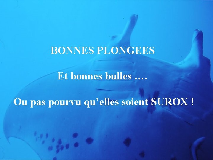 BONNES PLONGEES Et bonnes bulles …. Ou pas pourvu qu’elles soient SUROX ! 