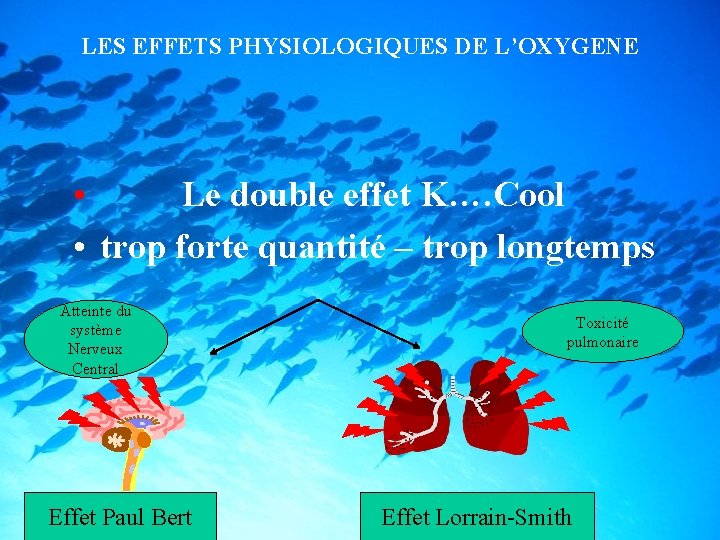 LES EFFETS PHYSIOLOGIQUES DE L’OXYGENE • Le double effet K…. Cool • trop forte