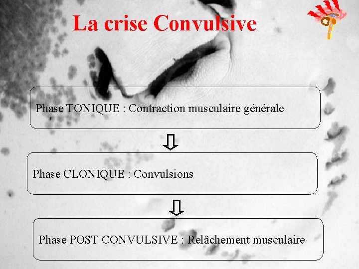 La crise Convulsive Phase TONIQUE : Contraction musculaire générale Phase CLONIQUE : Convulsions Phase
