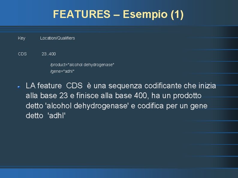 FEATURES – Esempio (1) Key Location/Qualifiers CDS 23. . 400 /product="alcohol dehydrogenase" /gene="adh. I"