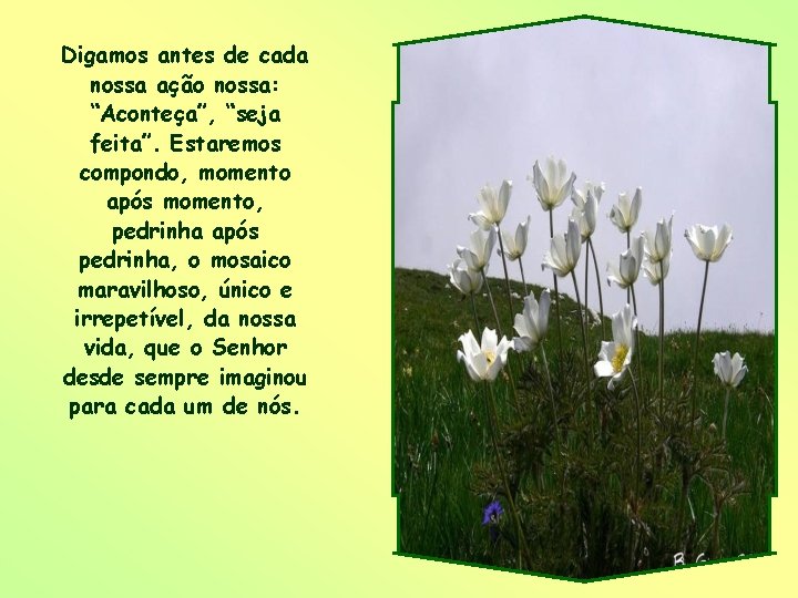 Digamos antes de cada nossa ação nossa: “Aconteça”, “seja feita”. Estaremos compondo, momento após