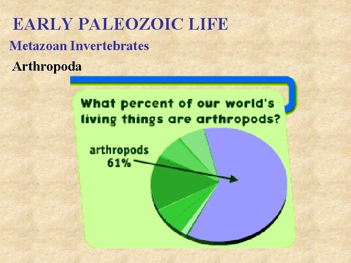 EARLY PALEOZOIC LIFE Metazoan Invertebrates Arthropoda 