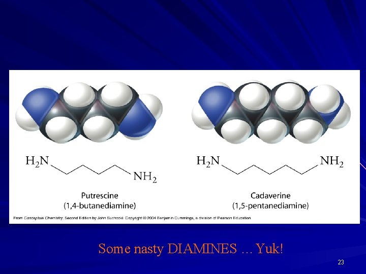 Some nasty DIAMINES …Yuk! 23 
