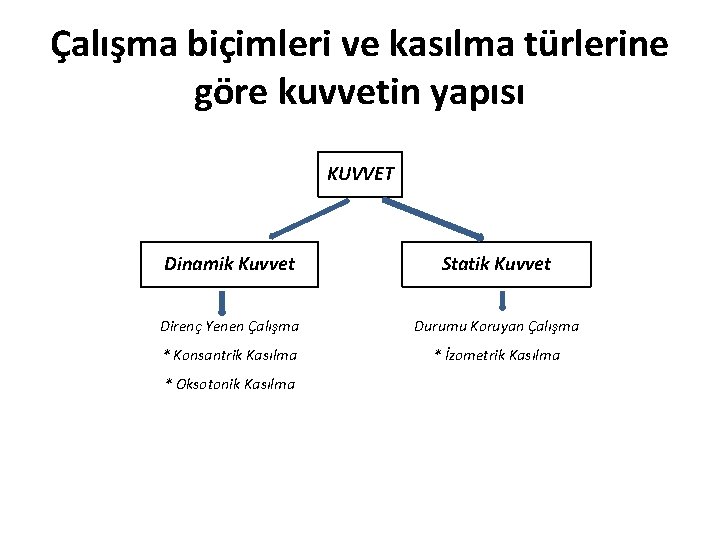 Çalışma biçimleri ve kasılma türlerine göre kuvvetin yapısı KUVVET Dinamik Kuvvet Statik Kuvvet Direnç