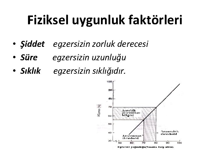 Fiziksel uygunluk faktörleri • Şiddet egzersizin zorluk derecesi • Süre egzersizin uzunluğu • Sıklık