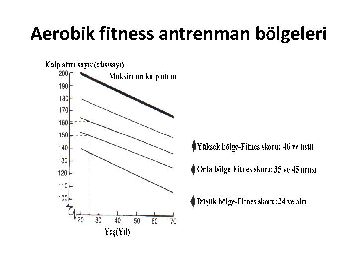 Aerobik fitness antrenman bölgeleri 