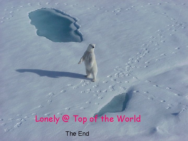 Lonely @ Top of the World The End 