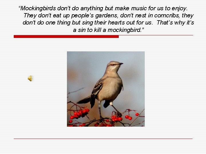 “Mockingbirds don’t do anything but make music for us to enjoy. They don’t eat