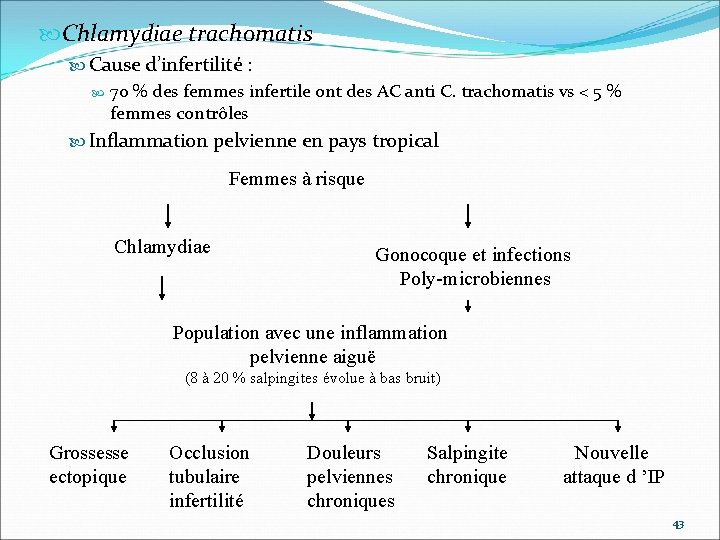  Chlamydiae trachomatis Cause d’infertilité : 70 % des femmes infertile ont des AC