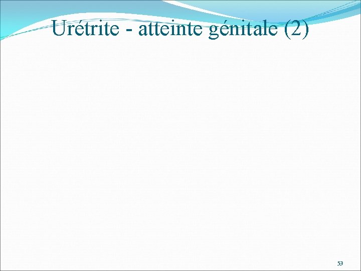 Urétrite - atteinte génitale (2) 53 