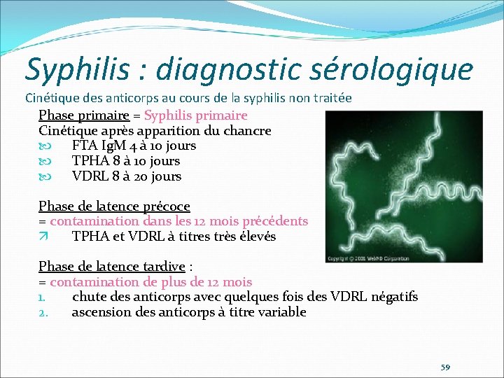 Syphilis : diagnostic sérologique Cinétique des anticorps au cours de la syphilis non traitée