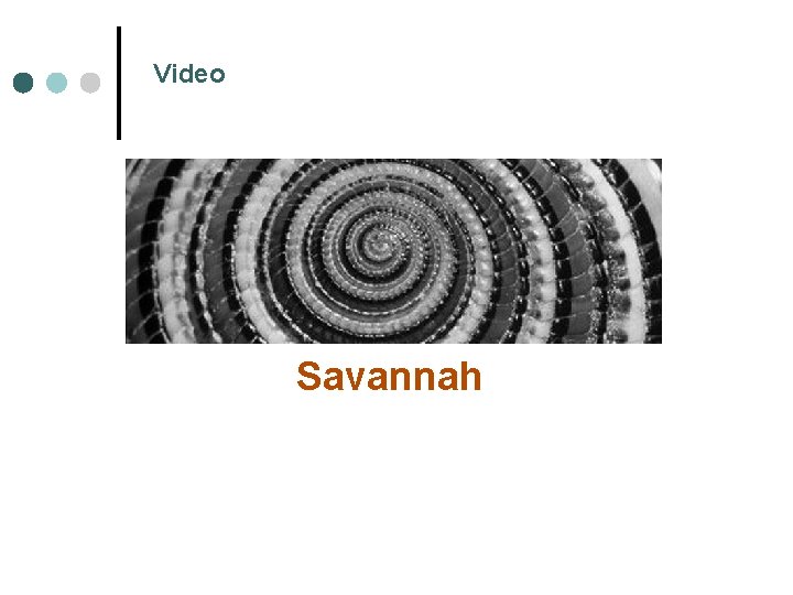 Video Savannah Habit 6 Synergize 