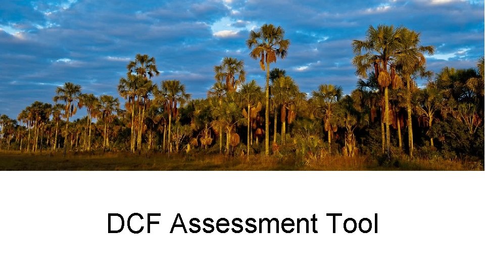 DCF Assessment Tool 