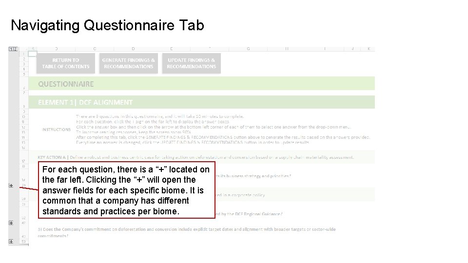 Navigating Questionnaire Tab For each question, there is a “+” located on the far