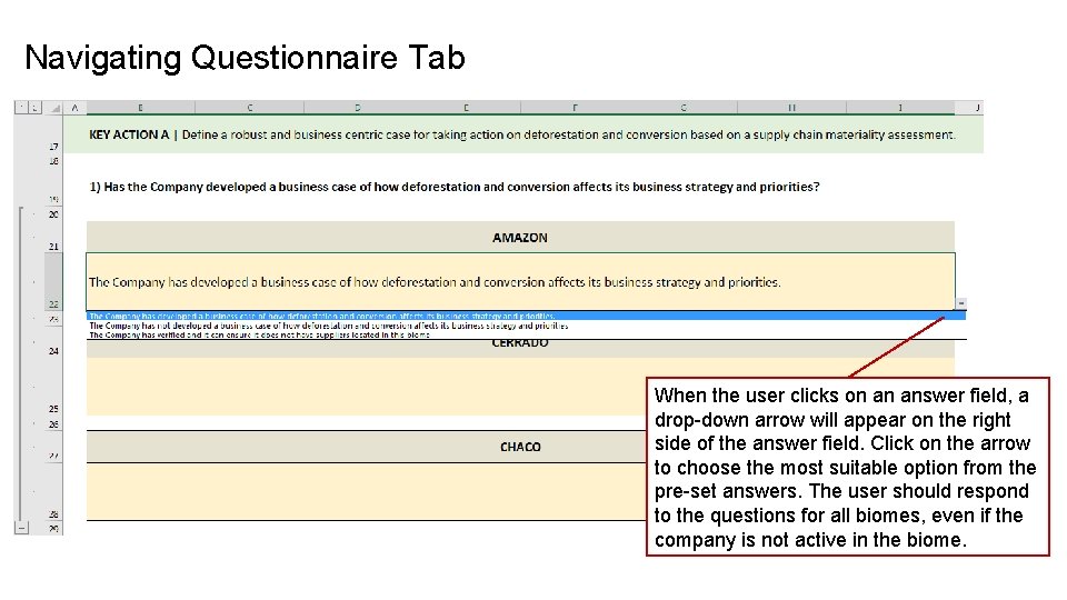 Navigating Questionnaire Tab When the user clicks on an answer field, a drop-down arrow