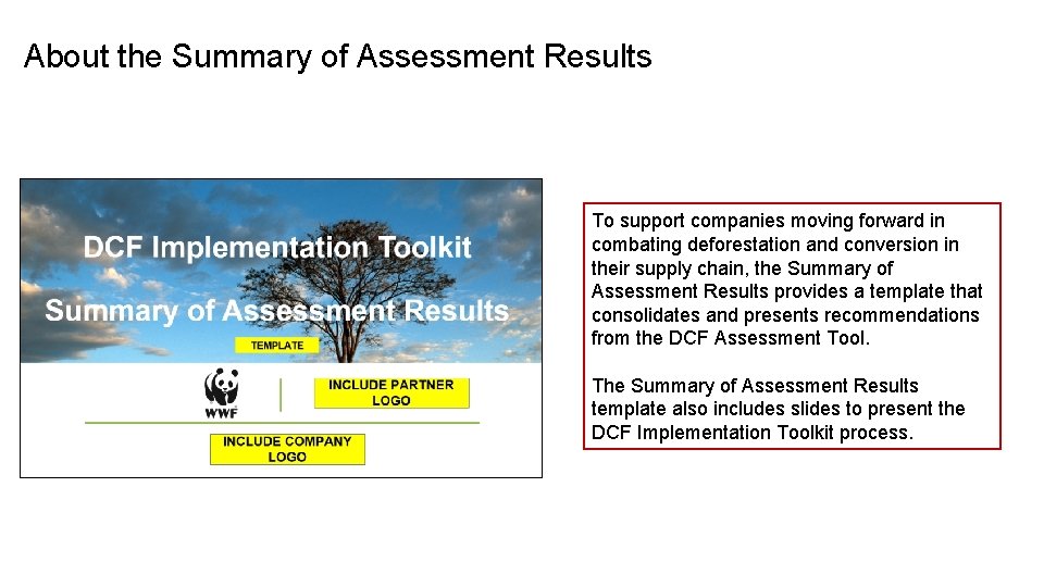 About the Summary of Assessment Results To support companies moving forward in combating deforestation