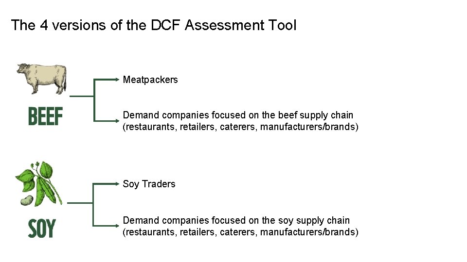 The 4 versions of the DCF Assessment Tool Meatpackers Demand companies focused on the