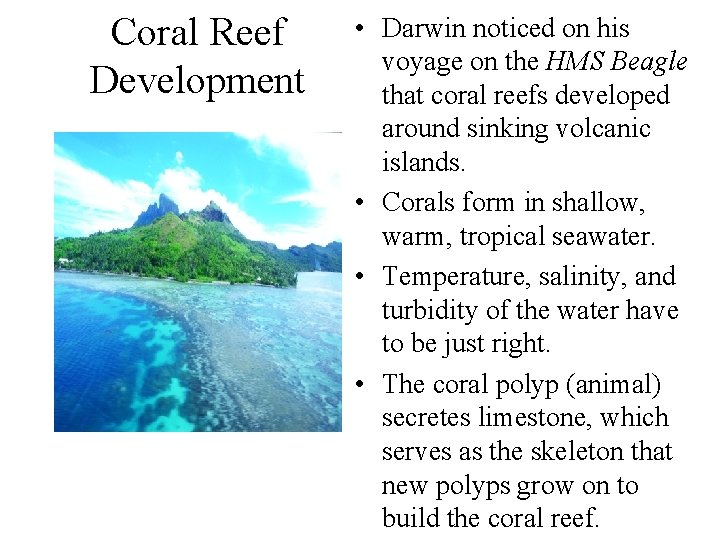 Coral Reef Development • Darwin noticed on his voyage on the HMS Beagle that