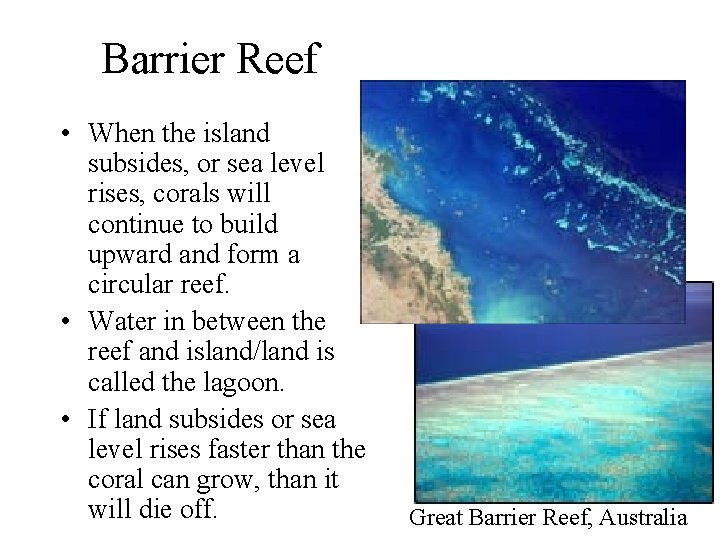 Barrier Reef • When the island subsides, or sea level rises, corals will continue