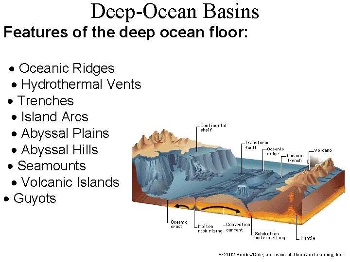 Deep-Ocean Basins Features of the deep ocean floor: Oceanic Ridges Hydrothermal Vents Trenches Island