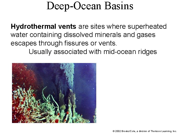 Deep-Ocean Basins Hydrothermal vents are sites where superheated water containing dissolved minerals and gases