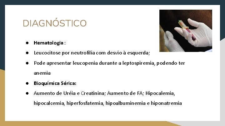 DIAGNÓSTICO ● Hematologia : ● Leucocitose por neutrofilia com desvio à esquerda; ● Pode