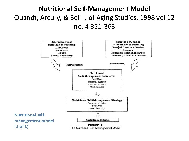 Nutritional Self-Management Model Quandt, Arcury, & Bell. J of Aging Studies. 1998 vol 12