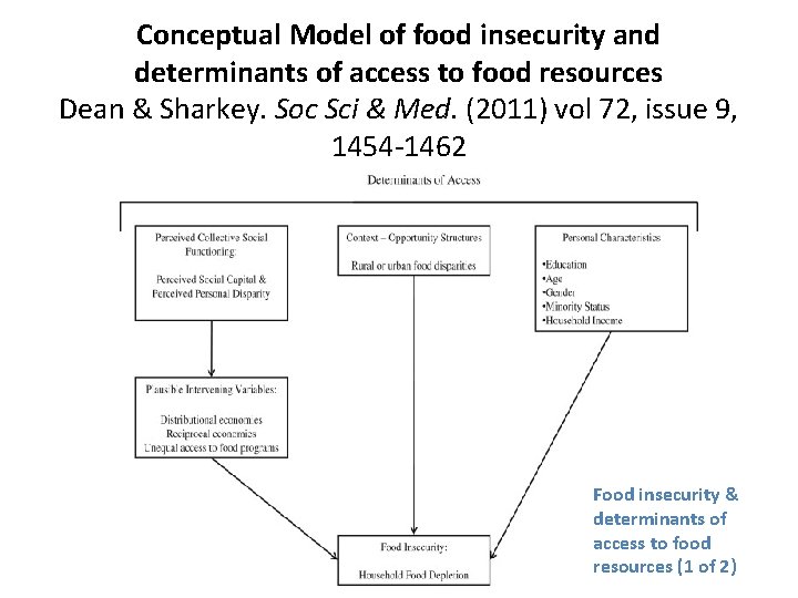 Conceptual Model of food insecurity and determinants of access to food resources Dean &