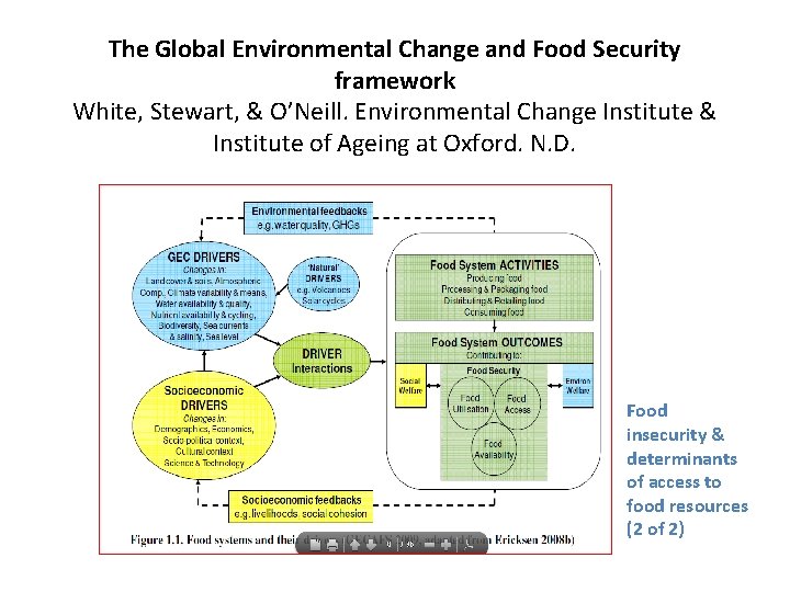 The Global Environmental Change and Food Security framework White, Stewart, & O’Neill. Environmental Change