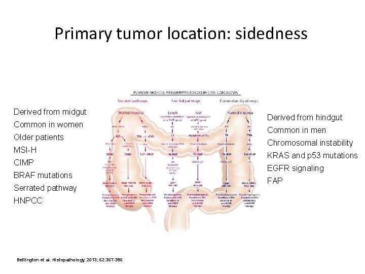 Primary tumor location: sidedness Derived from midgut Common in women Older patients MSI-H CIMP