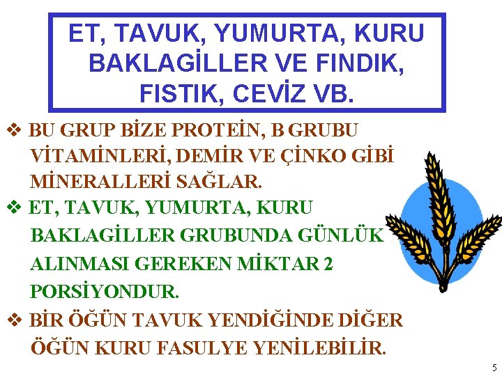 ET, TAVUK, YUMURTA, KURU BAKLAGİLLER VE FINDIK, FISTIK, CEVİZ VB. BU GRUP BİZE PROTEİN,