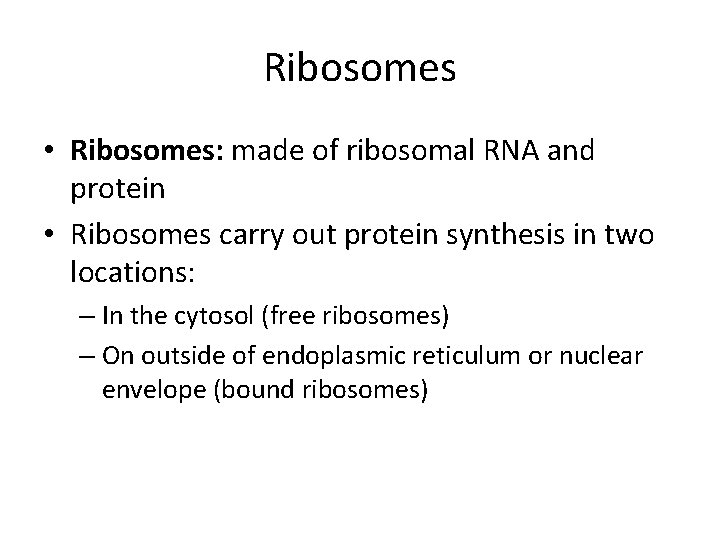 Ribosomes • Ribosomes: made of ribosomal RNA and protein • Ribosomes carry out protein