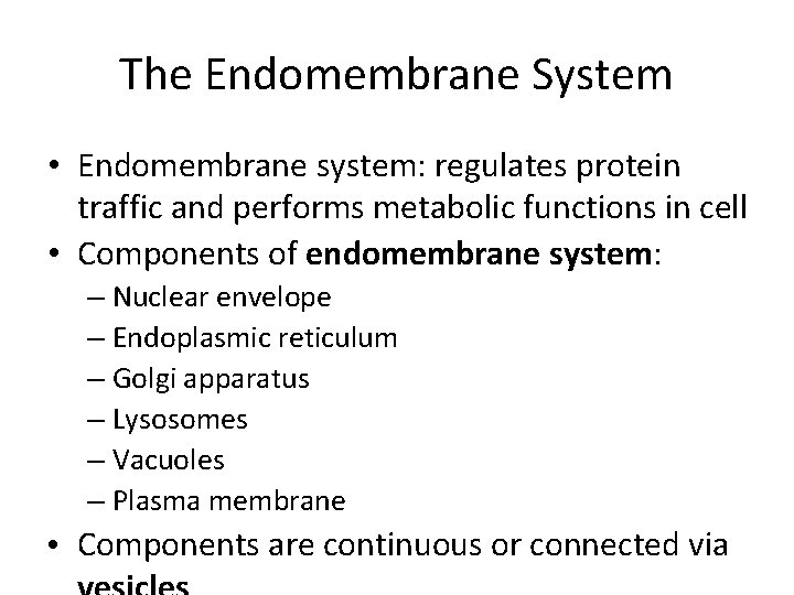 The Endomembrane System • Endomembrane system: regulates protein traffic and performs metabolic functions in