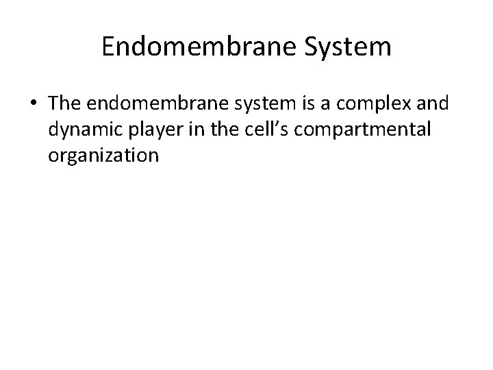 Endomembrane System • The endomembrane system is a complex and dynamic player in the