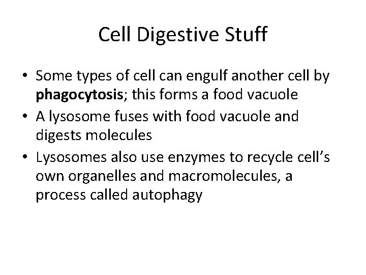 Cell Digestive Stuff • Some types of cell can engulf another cell by phagocytosis;