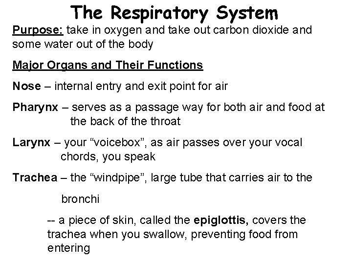 The Respiratory System Purpose: take in oxygen and take out carbon dioxide and some