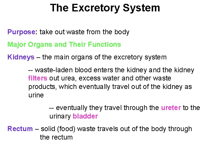The Excretory System Purpose: take out waste from the body Major Organs and Their