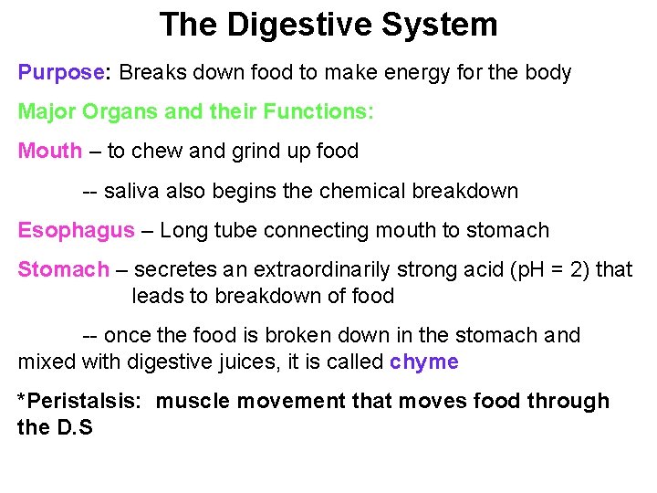 The Digestive System Purpose: Breaks down food to make energy for the body Major